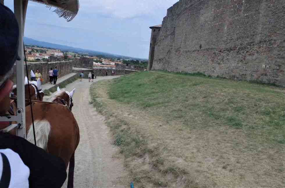 0901_carcassonne16